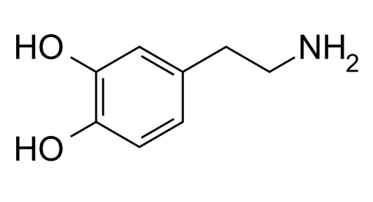 How to increase your dopamine levels